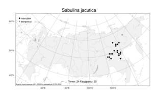 Sabulina jacutica, Минуарция якутская (Schischk.) Dillenb. & Kadereit, Атлас флоры России (FLORUS) (Россия)