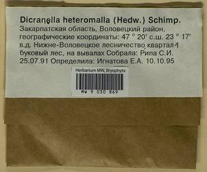 Dicranella heteromalla (Hedw.) Schimp., Гербарий мохообразных, Мхи - Украина и Молдавия (B3) (Украина)