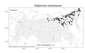 Delphinium chamissonis, Живокость Шамиссо Pritz. ex Walp., Атлас флоры России (FLORUS) (Россия)