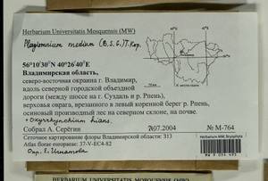 Plagiomnium medium (Bruch & Schimp.) T.J. Kop., Гербарий мохообразных, Мхи - Центральное Нечерноземье (B6) (Россия)