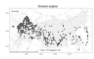 Drosera anglica, Drosera ×anglica Huds., Атлас флоры России (FLORUS) (Россия)