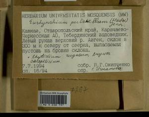 Ptychostomum imbricatulum (Müll. Hal.) Holyoak & N. Pedersen, Гербарий мохообразных, Мхи - Северный Кавказ и Предкавказье (B12) (Россия)