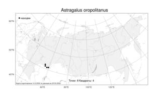 Astragalus oropolitanus Knjaz. & Kulikov, Атлас флоры России (FLORUS) (Россия)