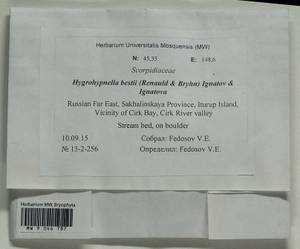 Hygrohypnella bestii (Renauld & Bryhn) Ignatov & Ignatova, Гербарий мохообразных, Мхи - Дальний Восток (без Чукотки и Камчатки) (B20) (Россия)