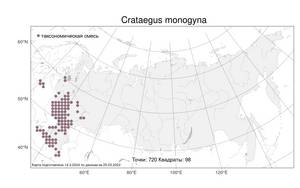 Crataegus monogyna, Боярышник одностолбиковый Jacq., Атлас флоры России (FLORUS) (Россия)