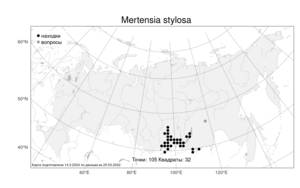 Mertensia stylosa, Мертензия длинностолбиковая (Fisch.) DC., Атлас флоры России (FLORUS) (Россия)