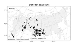 Dichodon davuricum (Fisch. ex Spreng.) Á. Löve & D. Löve, Атлас флоры России (FLORUS) (Россия)