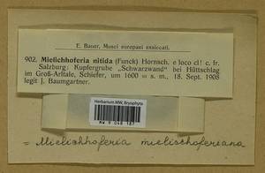 Mielichhoferia mielichhoferiana (Funck) Loeske, Гербарий мохообразных, Мхи - Западная Европа (BEu) (Австрия)