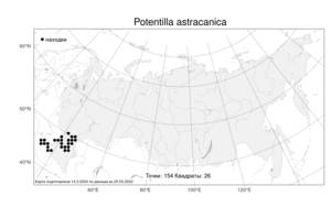 Potentilla astracanica, Лапчатка астраханская Jacq., Атлас флоры России (FLORUS) (Россия)