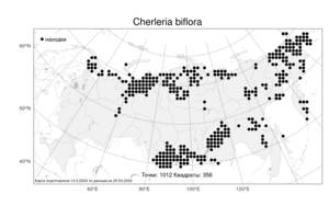 Cherleria biflora, Шерлерия двухцветковая (L.) A. J. Moore & Dillenb., Атлас флоры России (FLORUS) (Россия)
