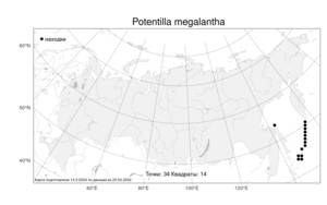 Potentilla megalantha, Лапчатка крупноцветковая Takeda, Атлас флоры России (FLORUS) (Россия)