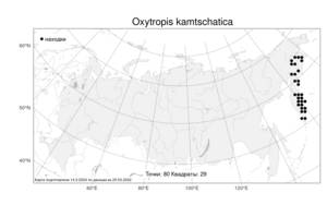 Oxytropis kamtschatica, Остролодочник камчатский Hultén, Атлас флоры России (FLORUS) (Россия)