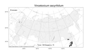 Vincetoxicum ascyrifolium, Ластовень заостренный Franch. & Sav., Атлас флоры России (FLORUS) (Россия)