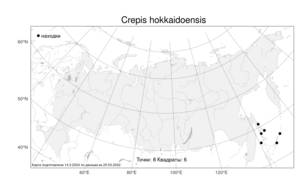 Crepis hokkaidoensis Babc., Атлас флоры России (FLORUS) (Россия)