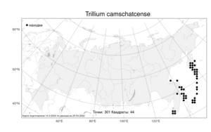 Trillium camschatcense, Триллиум камчатский Ker Gawl., Атлас флоры России (FLORUS) (Россия)
