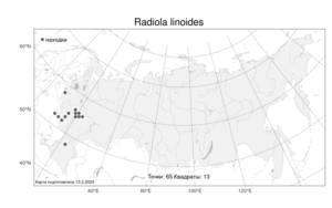 Radiola linoides, Радиола льновидная Roth, Атлас флоры России (FLORUS) (Россия)