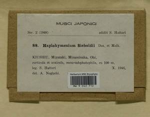 Haplohymenium sieboldii (Dozy & Molk.) Dozy & Molk., Гербарий мохообразных, Мхи - Азия (вне границ бывшего СССР) (BAs) (Япония)