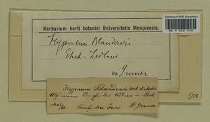 Helodium blandowii (F. Weber & D. Mohr) Warnst., Гербарий мохообразных, Мхи - Прибалтика (B1) (Эстония)
