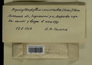 Bryoerythrophyllum recurvirostrum (Hedw.) P.C. Chen, Гербарий мохообразных, Мхи - Центральное Черноземье (B10) (Россия)