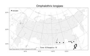Omphalothrix longipes, Омфалотрикс длинноножковый Maxim., Атлас флоры России (FLORUS) (Россия)