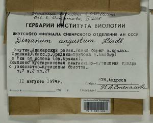Dicranum laevidens R.S. Williams, Гербарий мохообразных, Мхи - Якутия (B19) (Россия)
