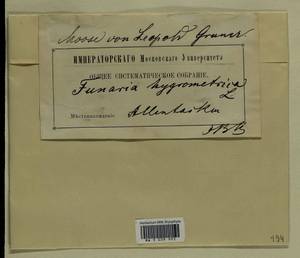 Funaria hygrometrica Hedw., Гербарий мохообразных, Мхи - Прибалтика (B1) (Эстония)