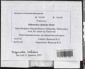 Didymodon validus Limpr., Гербарий мохообразных, Мхи - Красноярский край, Тыва и Хакасия (B17) (Россия)