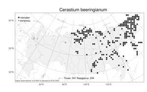 Cerastium beeringianum, Ясколка берингийская, Ясколка Беринга Cham. & Schltdl., Атлас флоры России (FLORUS) (Россия)