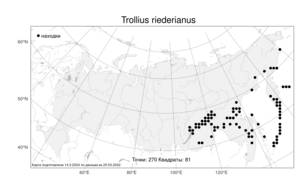 Trollius riederianus, Купальница Ридера Fisch. & C. A. Mey., Атлас флоры России (FLORUS) (Россия)