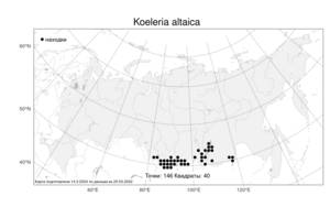 Koeleria altaica, Тонконог алтайский (Domin) Krylov, Атлас флоры России (FLORUS) (Россия)