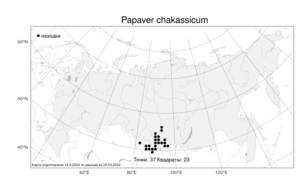 Papaver chakassicum Peschkova, Атлас флоры России (FLORUS) (Россия)
