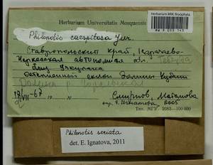 Philonotis seriata Mitt., Гербарий мохообразных, Мхи - Северный Кавказ и Предкавказье (B12) (Россия)