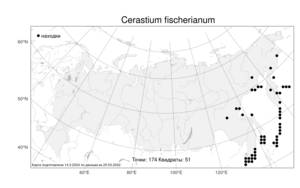 Cerastium fischerianum, Ясколка Фишера Ser., Атлас флоры России (FLORUS) (Россия)