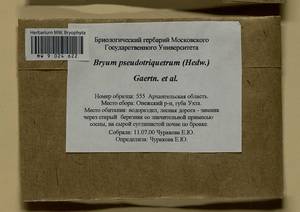 Ptychostomum pseudotriquetrum (Hedw.) J.R. Spence & H.P. Ramsay, Гербарий мохообразных, Мхи - Архангельская и Вологодская области, Коми, Ненецкий АО (B7) (Россия)