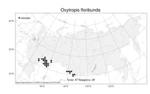 Oxytropis floribunda, Остролодочник обильноцветущий (Pall.) DC., Атлас флоры России (FLORUS) (Россия)