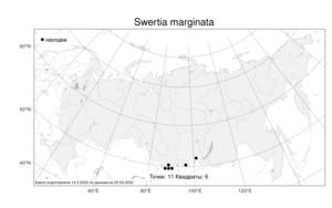 Swertia marginata, Сверция окаймленная Schrenk, Атлас флоры России (FLORUS) (Россия)