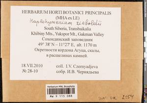 Haplohymenium sieboldii (Dozy & Molk.) Dozy & Molk., Гербарий мохообразных, Мхи - Прибайкалье и Забайкалье (B18) (Россия)