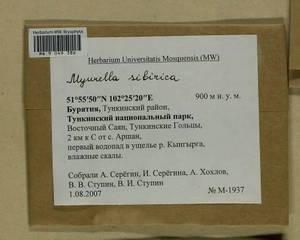 Myurella sibirica (Müll. Hal.) Reimers, Гербарий мохообразных, Мхи - Прибайкалье и Забайкалье (B18) (Россия)