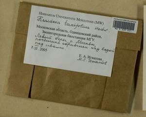 Fissidens taxifolius Hedw., Гербарий мохообразных, Мхи - Москва и Московская область (B6a) (Россия)