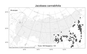 Jacobaea cannabifolia, Якобея коноплеволистная (Less.) E. Wiebe, Атлас флоры России (FLORUS) (Россия)