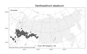 Xanthoselinum alsaticum, Златогоричник морозниковый (L.) Schur, Атлас флоры России (FLORUS) (Россия)