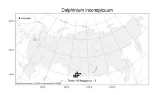 Delphinium inconspicuum, Живокость незамеченная Serg., Атлас флоры России (FLORUS) (Россия)