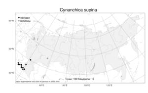 Cynanchica supina (M.Bieb.) P.Caputo & Del Guacchio, Атлас флоры России (FLORUS) (Россия)