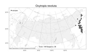 Oxytropis revoluta, Остролодочник завернутый Ledeb., Атлас флоры России (FLORUS) (Россия)