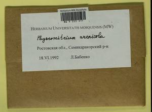 Physcomitrium arenicola Laz., Гербарий мохообразных, Мхи - Нижний Дон и Нижняя Волга (B11) (Россия)
