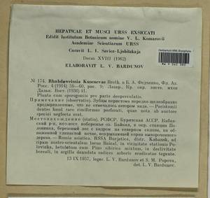 Rhabdoweisia crispata (Dicks.) Lindb., Гербарий мохообразных, Мхи - Прибайкалье и Забайкалье (B18) (Россия)