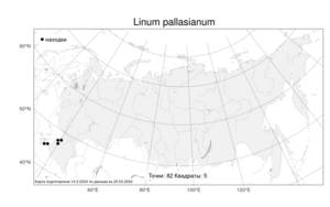 Linum pallasianum, Лен Палласов Schult., Атлас флоры России (FLORUS) (Россия)
