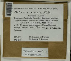 Philonotis seriata Mitt., Гербарий мохообразных, Мхи - Северный Кавказ и Предкавказье (B12) (Россия)