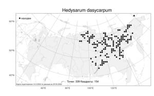 Hedysarum dasycarpum, Копеечник щетинистоплодный Turcz., Атлас флоры России (FLORUS) (Россия)