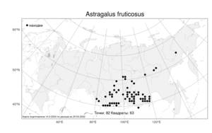 Astragalus fruticosus, Астрагал кустарниковый Forssk., Атлас флоры России (FLORUS) (Россия)